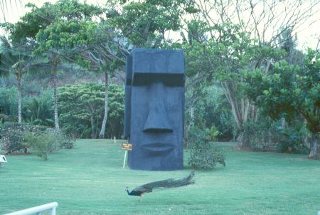 A Peacock or a Replica of an Easter Island Stone Head at Smith's Tropical Paradise, Kaua`i, Hawai`i?