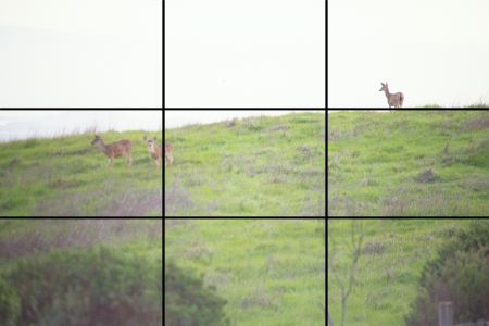 The "Rule" of Thirds